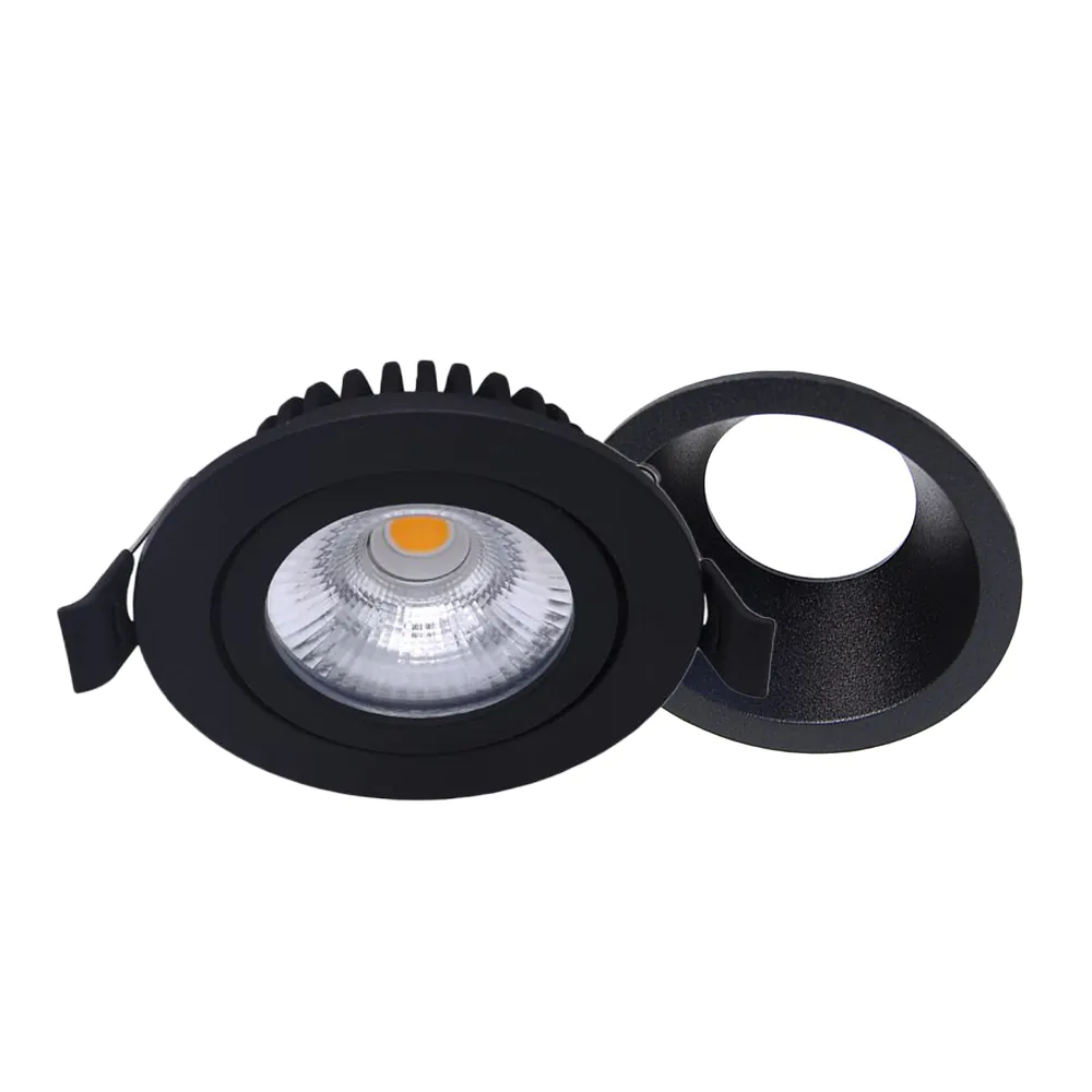 Sorte indbygningsspot